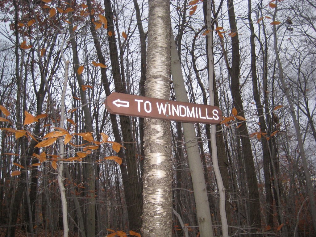 Windmill Sign by brian1366