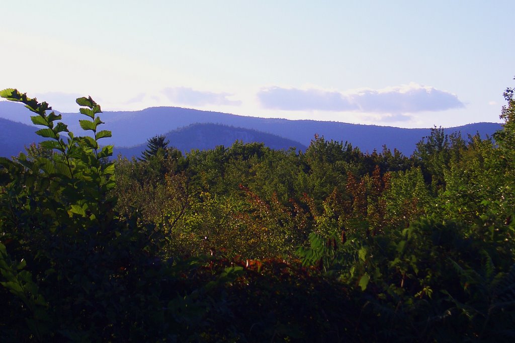 North Conway - White Mountains (3839) by Felix2008