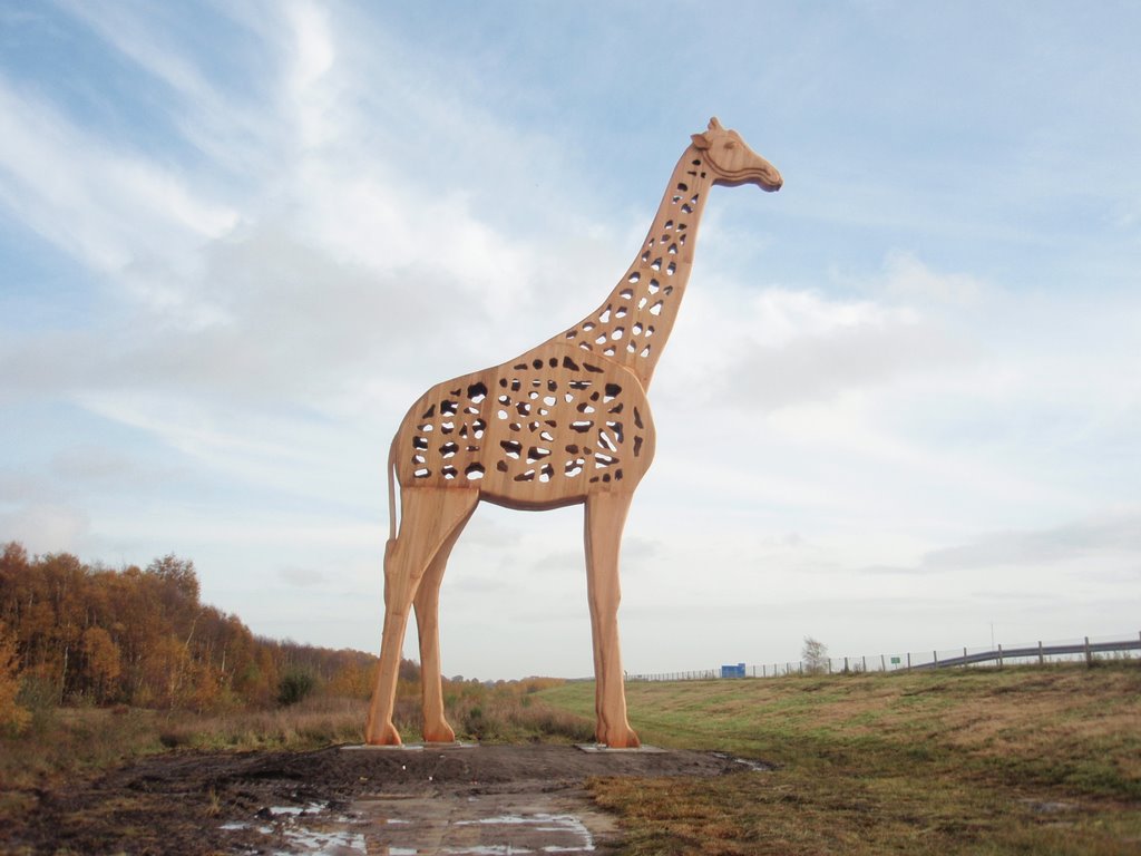 Giraffe naast de A37 by Panone