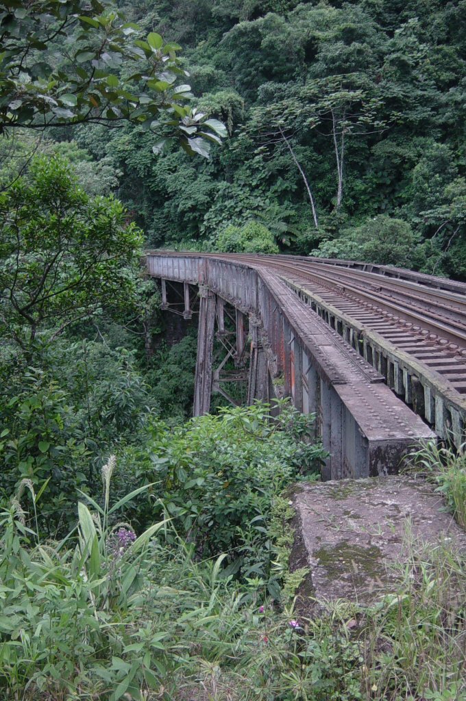 Viaduto Conselheiro Sinimbú by Paulo Vinicius Wolsk…