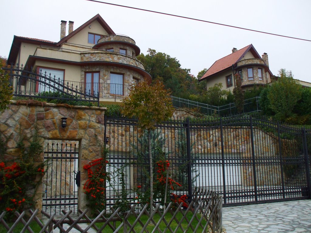 200911051345 János Zsigmond úti lakóházak (Dwelling-houses in "Wolf-valley") by Kornél2009