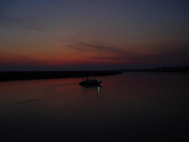 Edisto May 2005 (83a) by William Melton