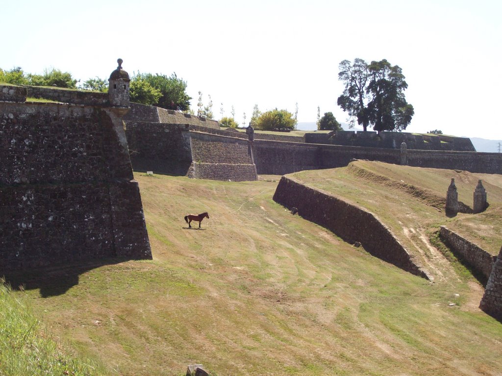 Valença (fortaleza) by lurdes pires