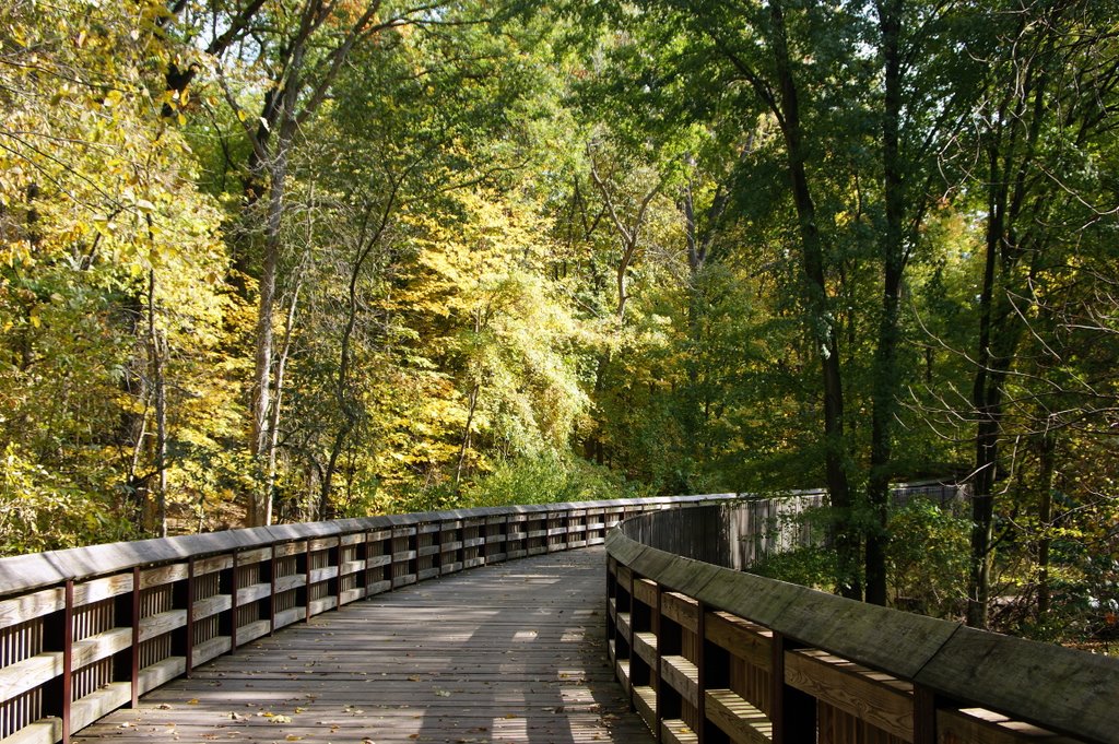 Wildwood metro park toledo ohio by RBodnar