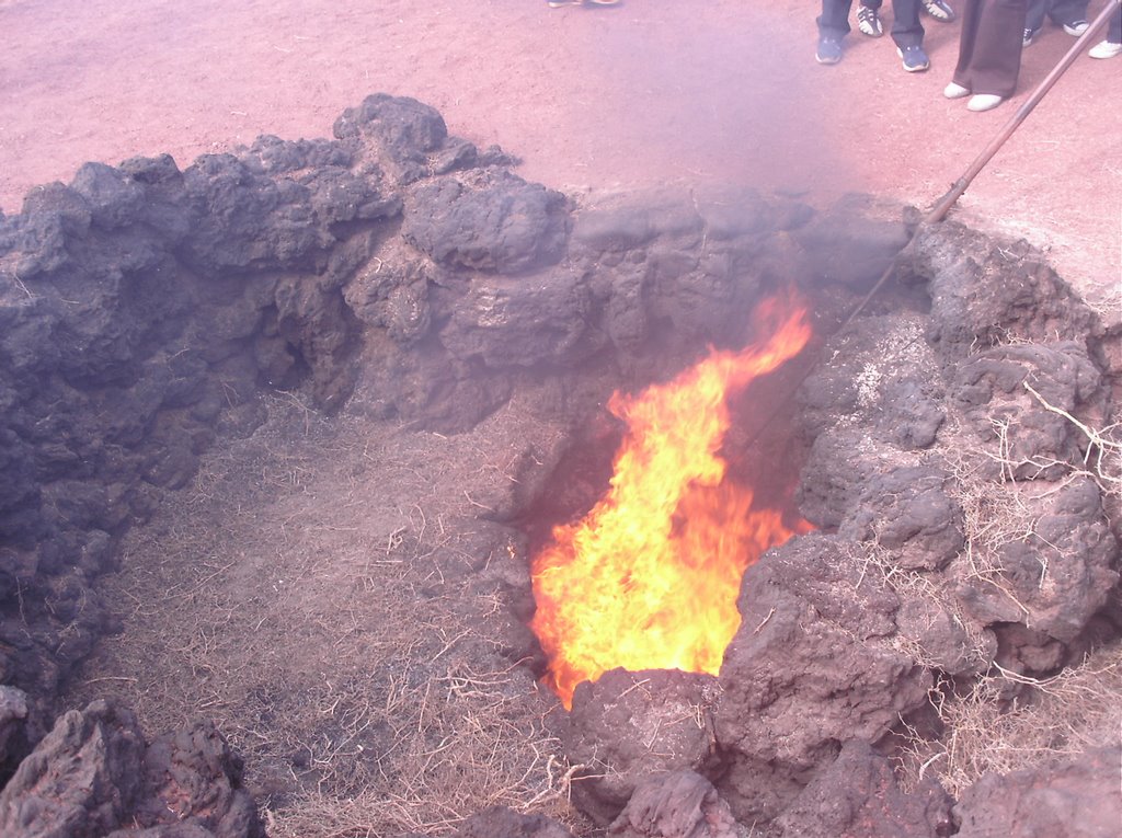 Timanfaya national park,Lanzarote by Neil Pinch