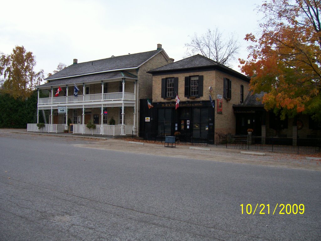 Bayfield - The Albion & Black Dog by Wayne Carter