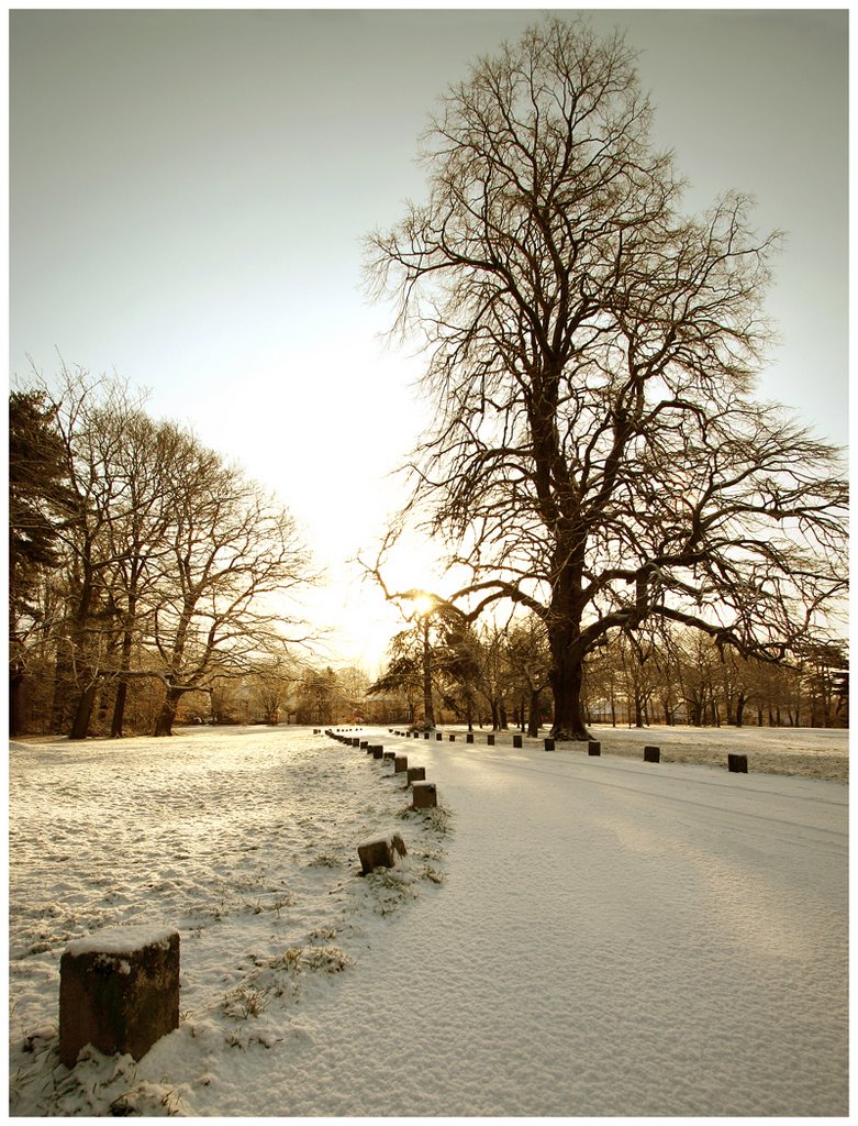 Snowy Heath Park by Steve Porteous