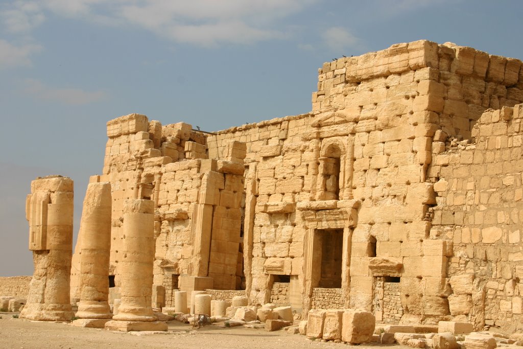 Palmyra - Syria by Styve Reineck