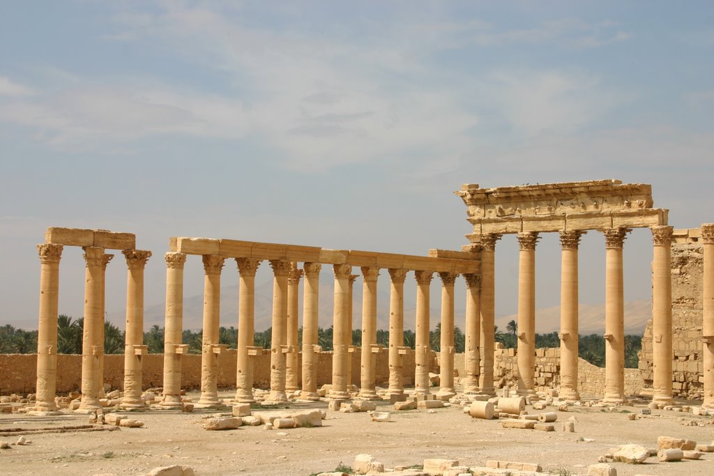 Palmyra - Syria by Styve Reineck