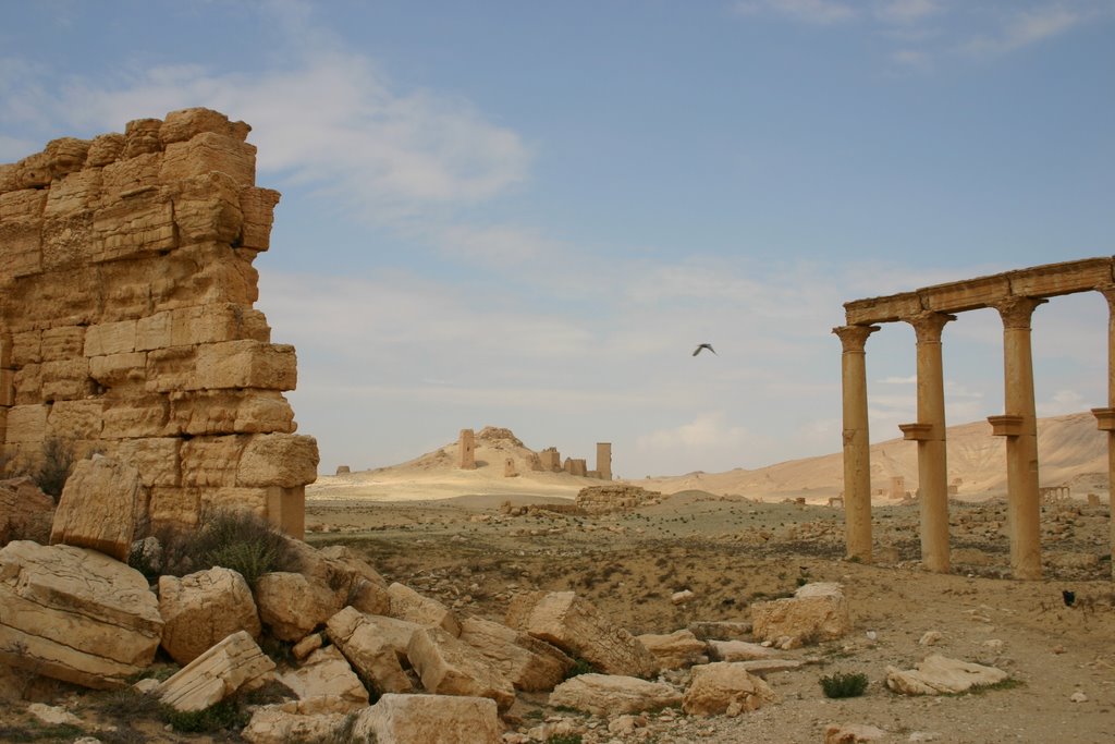 Palmyra - Syria by Styve Reineck