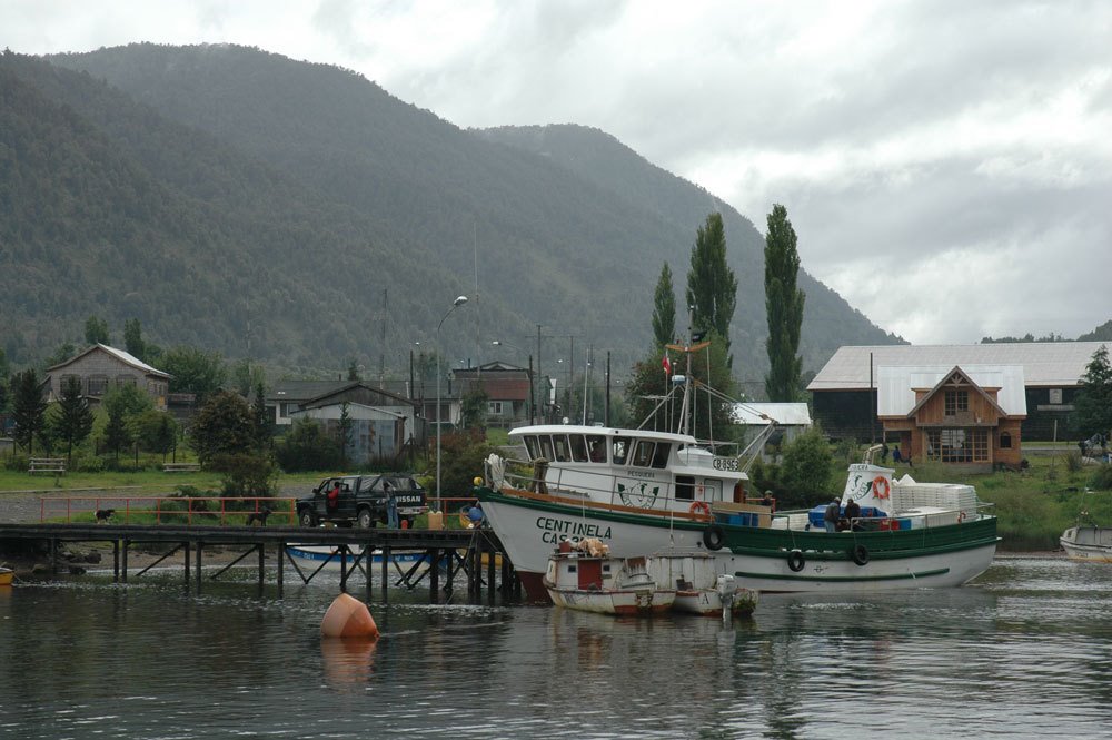 Puyuhuapi, Región de Aysén by Frank Holden