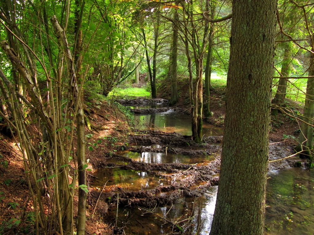 Naturbelassen :-) Bach im Kaisinger Tal by Robbystum.