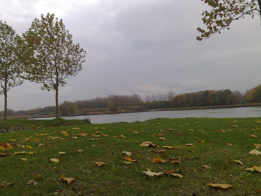 Sliedrecht, view on Hollandse Biesbosch by BlankenWH