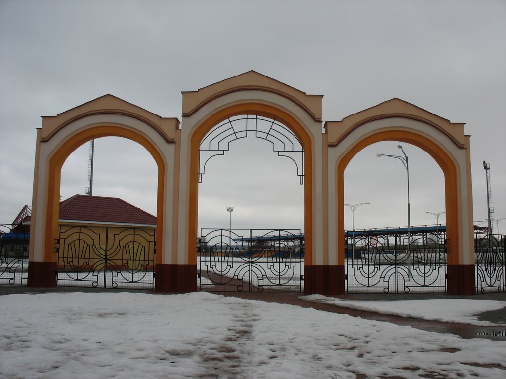 Вход в стадион / Entry in stadium by Костунов Михаил