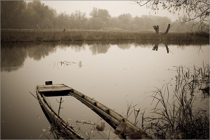 Autumn on the backwater (Tiszaszederkény) by lacitot