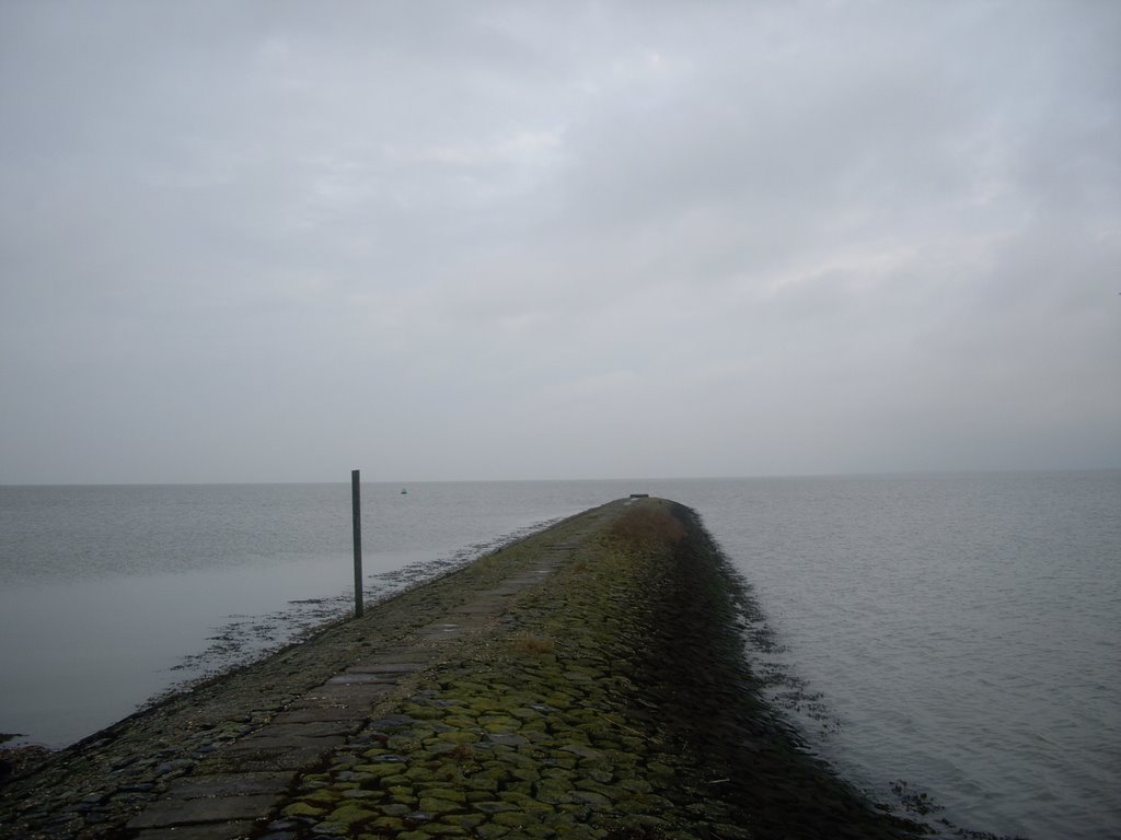 River Ems Estuary on a hazy autumn day by Joost van der Eijk