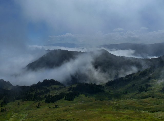 La boira puja al coll de palheres by maria moncal