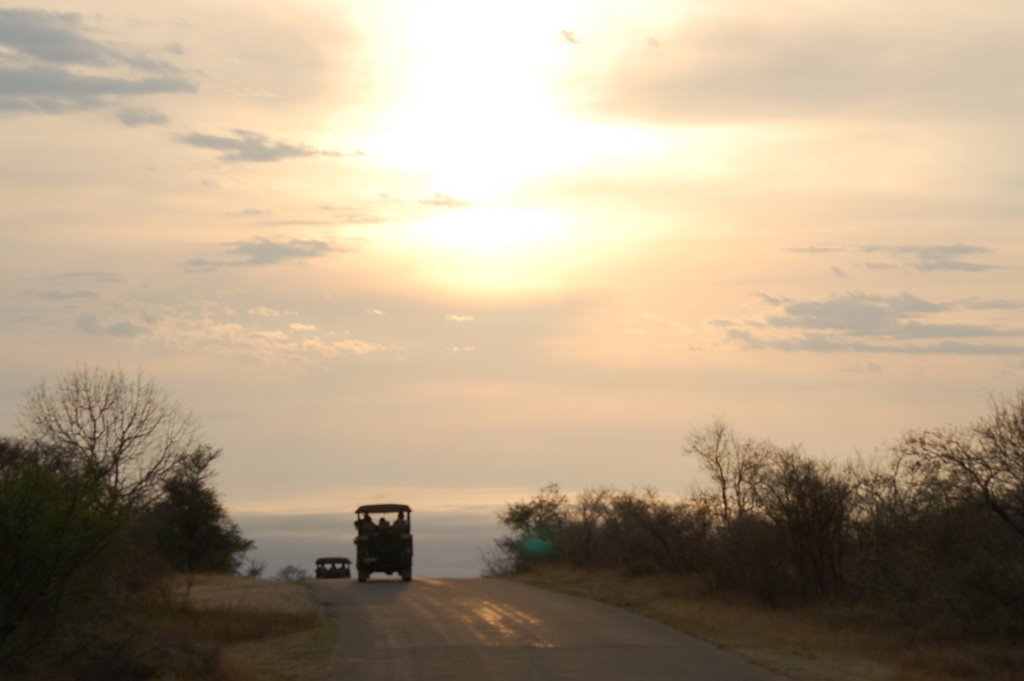 On Safari in Kruger Park by Lex Diederik