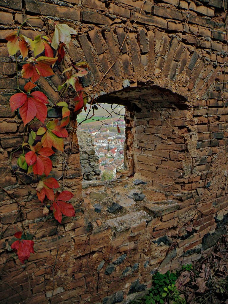 Cetatea Rupea fereastră spre lume - cu deget de frunze.. toamna bate usor la fereastra...! by BogdanGoim