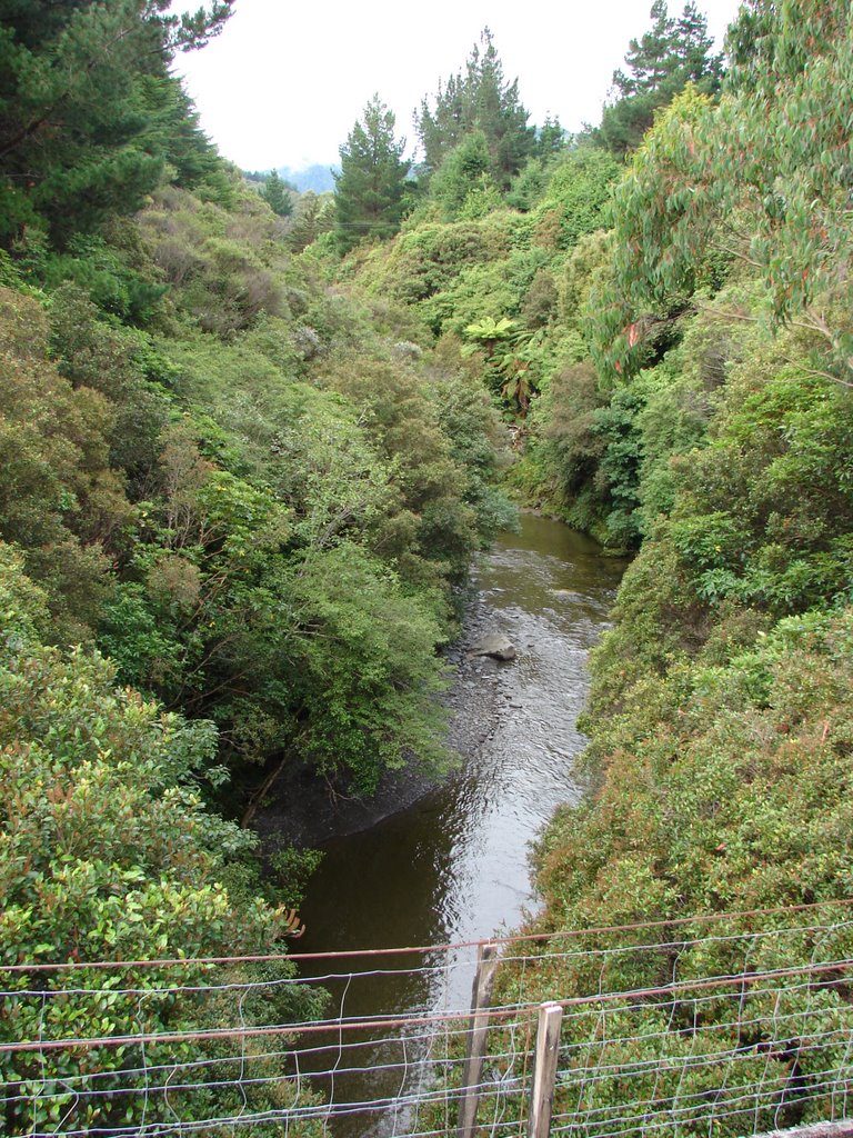 Gardens West of Upper Hutt by owenjohn