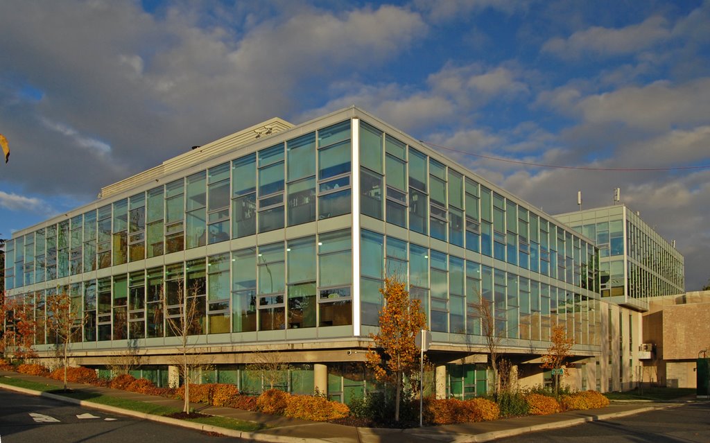 Surrey City Hall by Edwin Brion