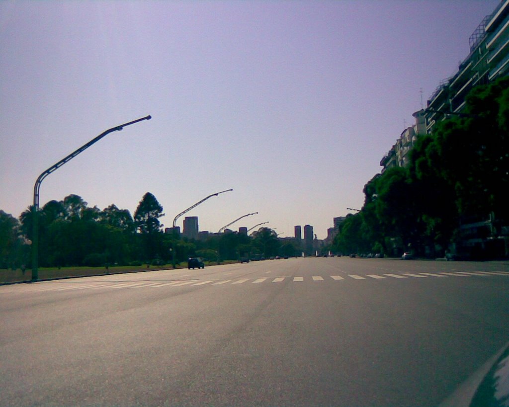 Avenida del Libertador (Palermo) by ch!