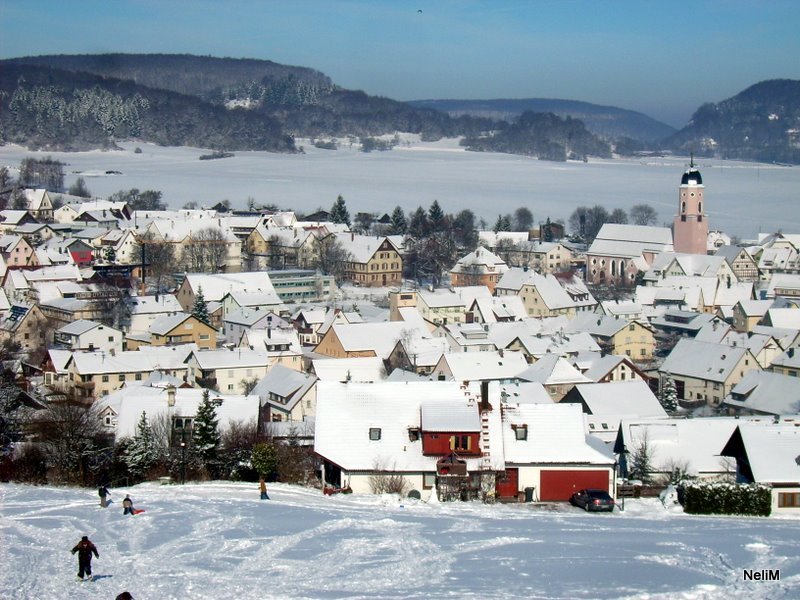 Großengstingen im Winter by NeliM