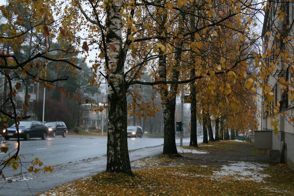 Wet and foggy november view in Valkeakoski 08.11.2009 by Markus Nikkilä Photoshooter86