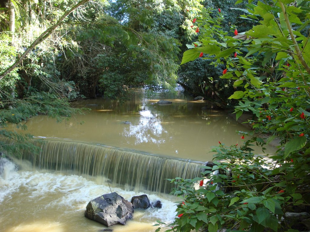 A stream in Pomerode, SC, BR by leoflop