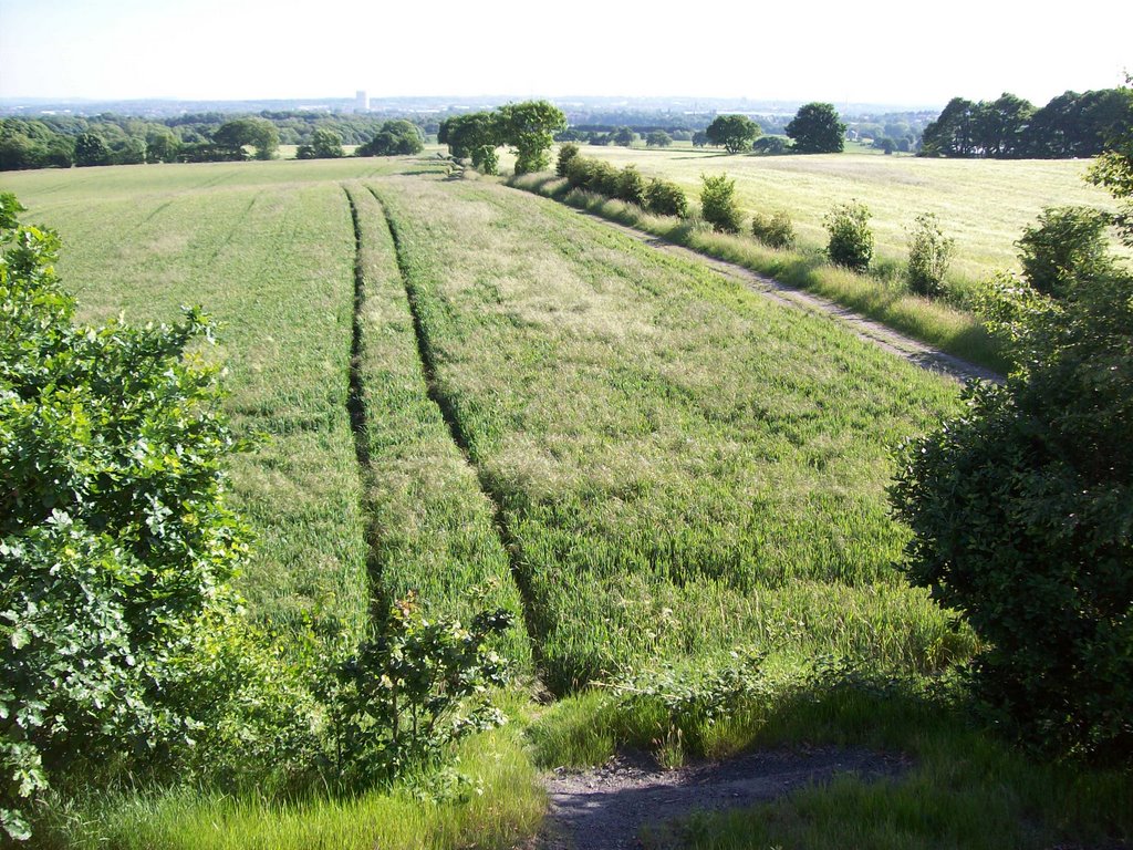 St Helens from Billinge by Keith Bentham