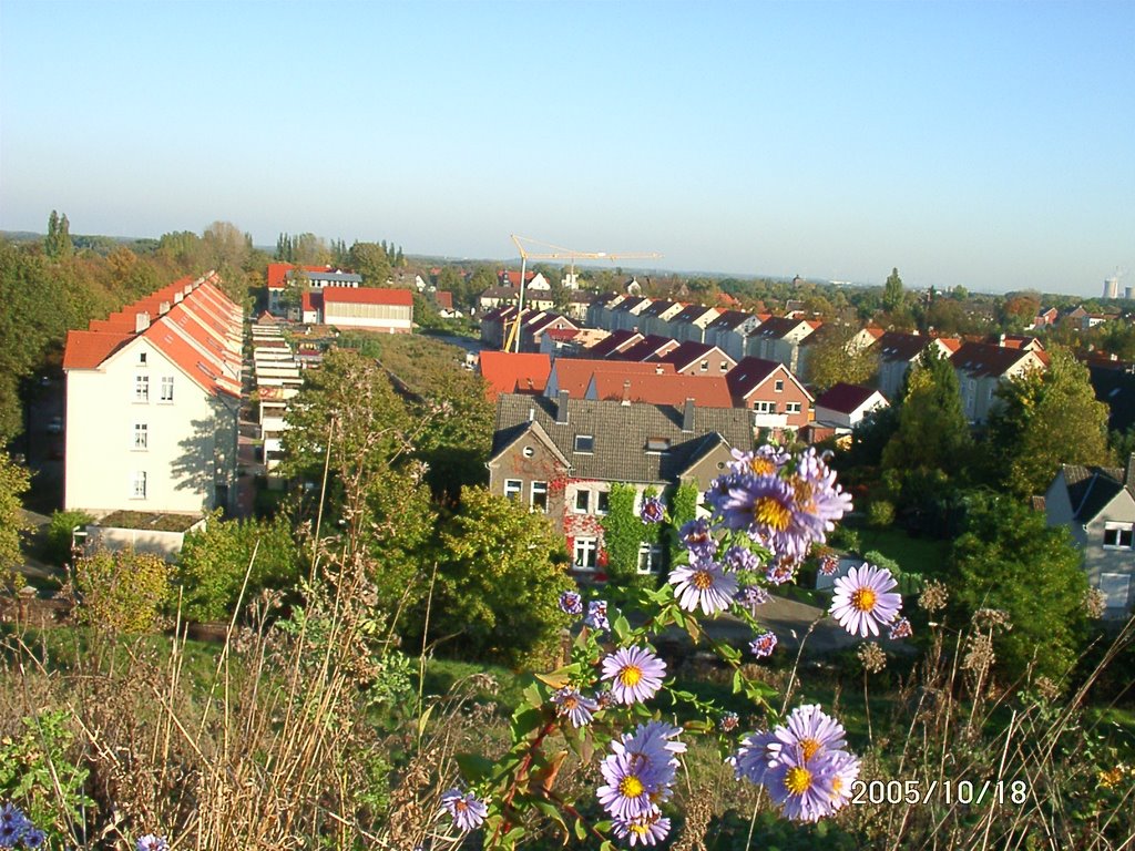 Ehemalige Bergarbeiter-Siedlung in Suderwich by windowskill