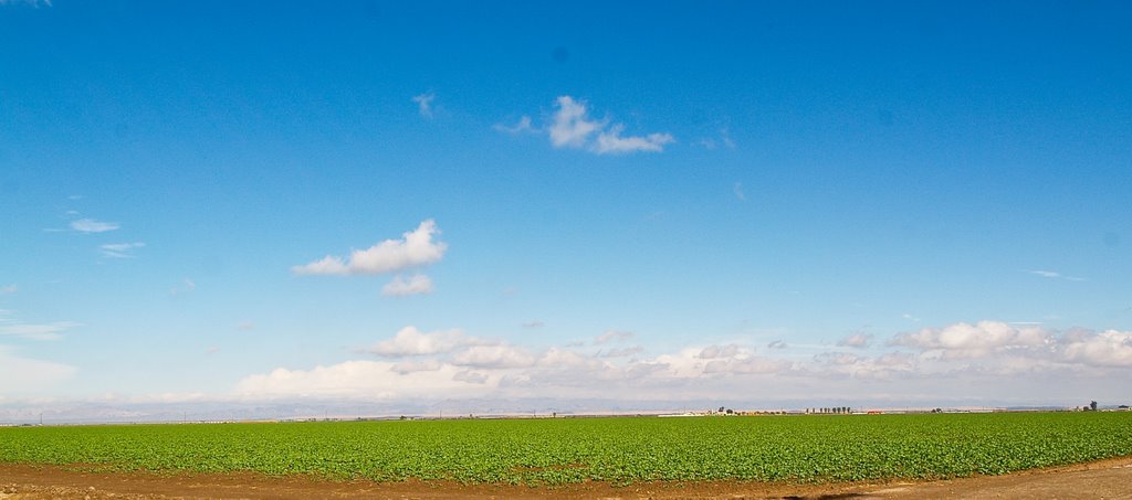 Imperial Valley, California by George Bonnin