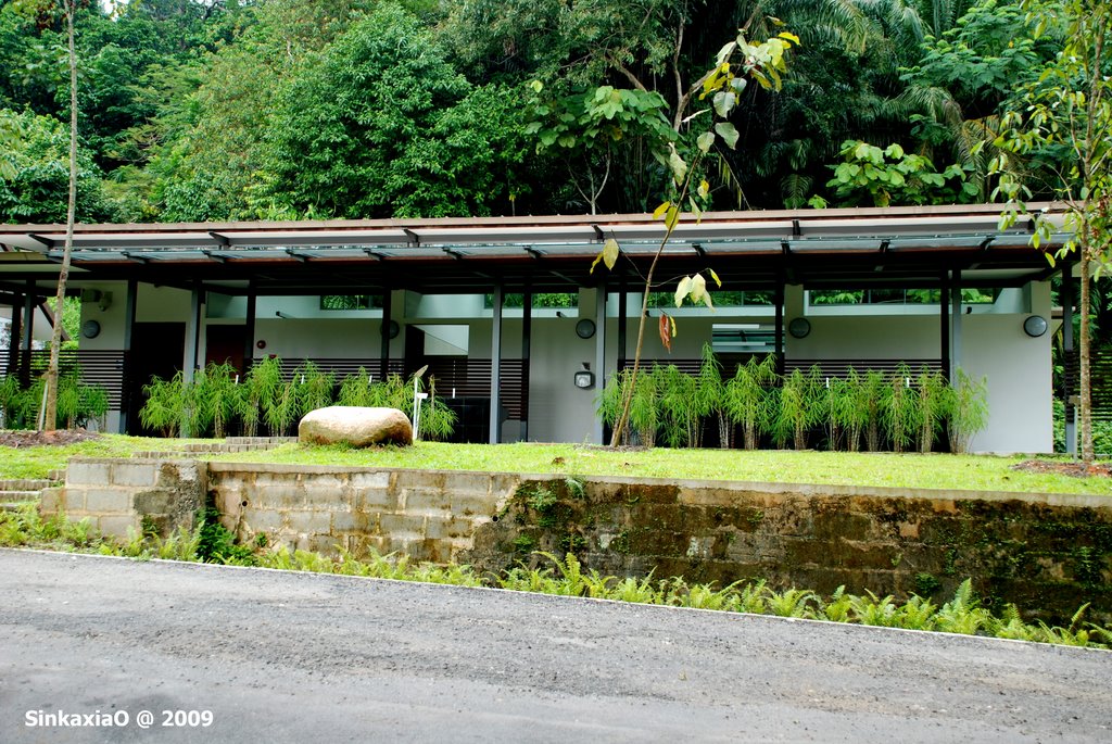 Dairy Farm by Sincere Photo