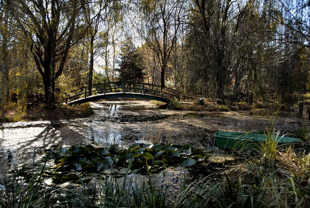 Monet's Bridge at Grounds for Sculpture by Hank Waxman