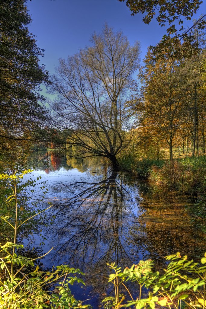 Autumn in my hometown (Mevlanapark in Maasniel) by Bert Kaufmann