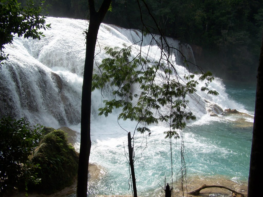 Cascadas de Agua Azul by Rio Gonzalez