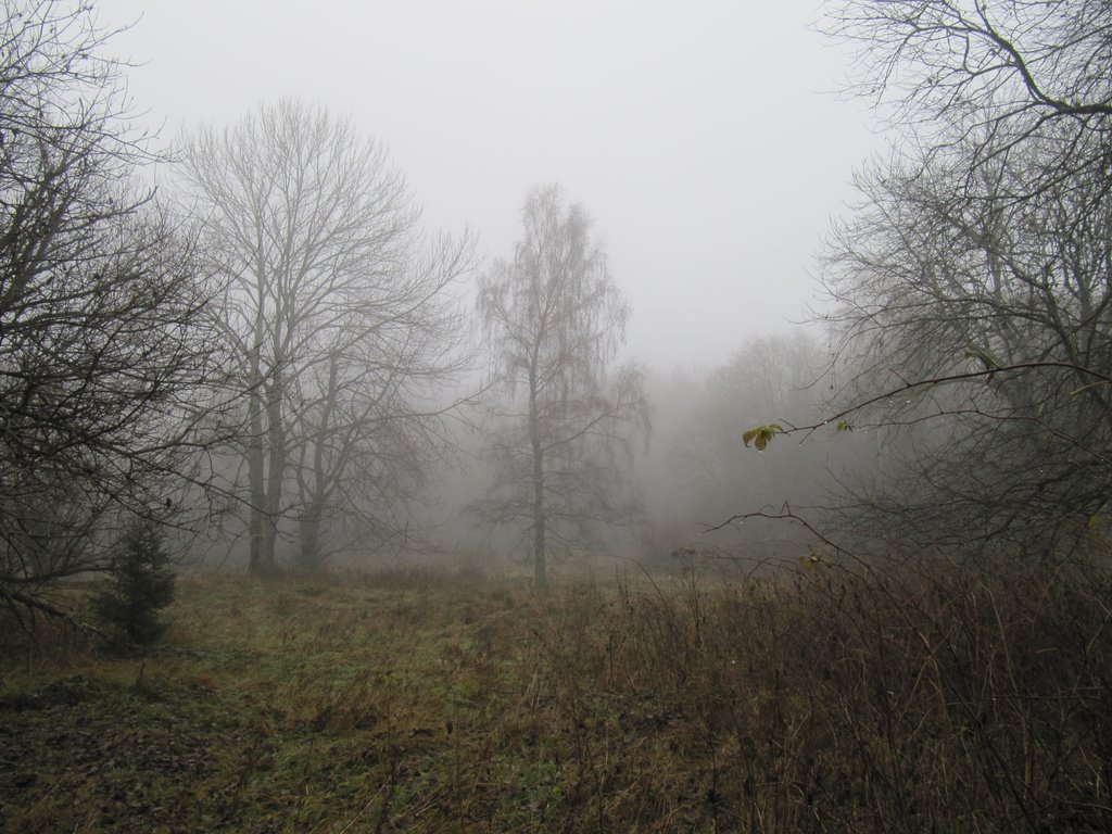 Herbstnebel in byvale Frantoly (ehemals Frauenthal) by mtauber