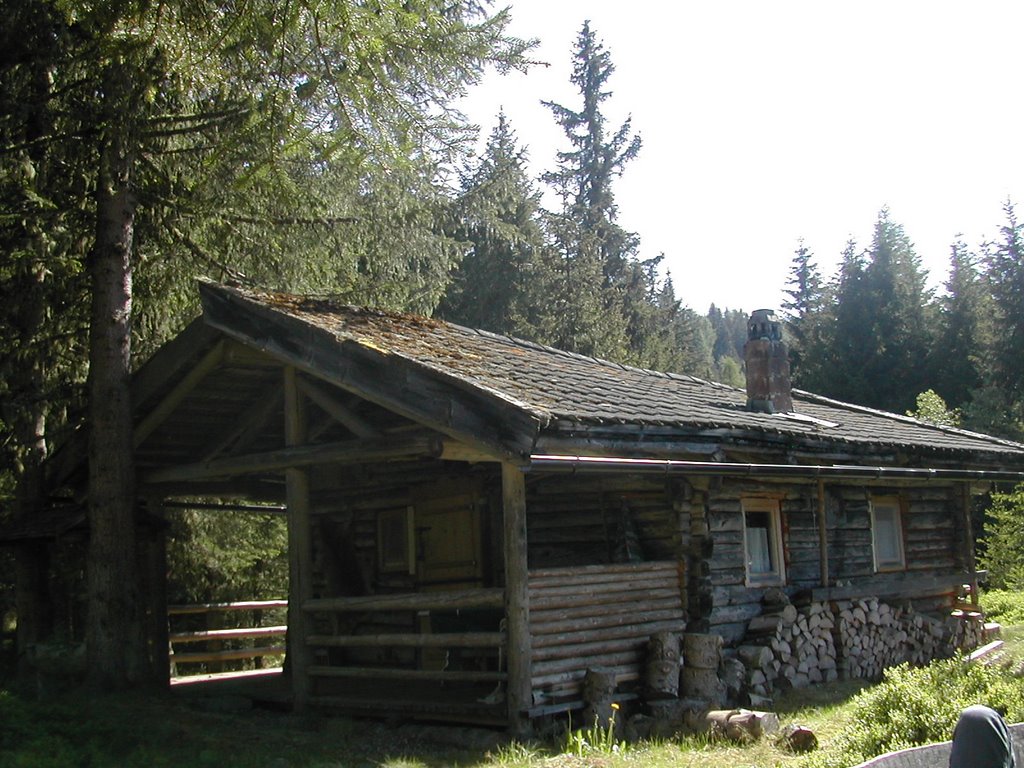 Alte Moserrinn Hütte Mühlbach im Pinzgau / Bramberg am Wildkogel by rentable