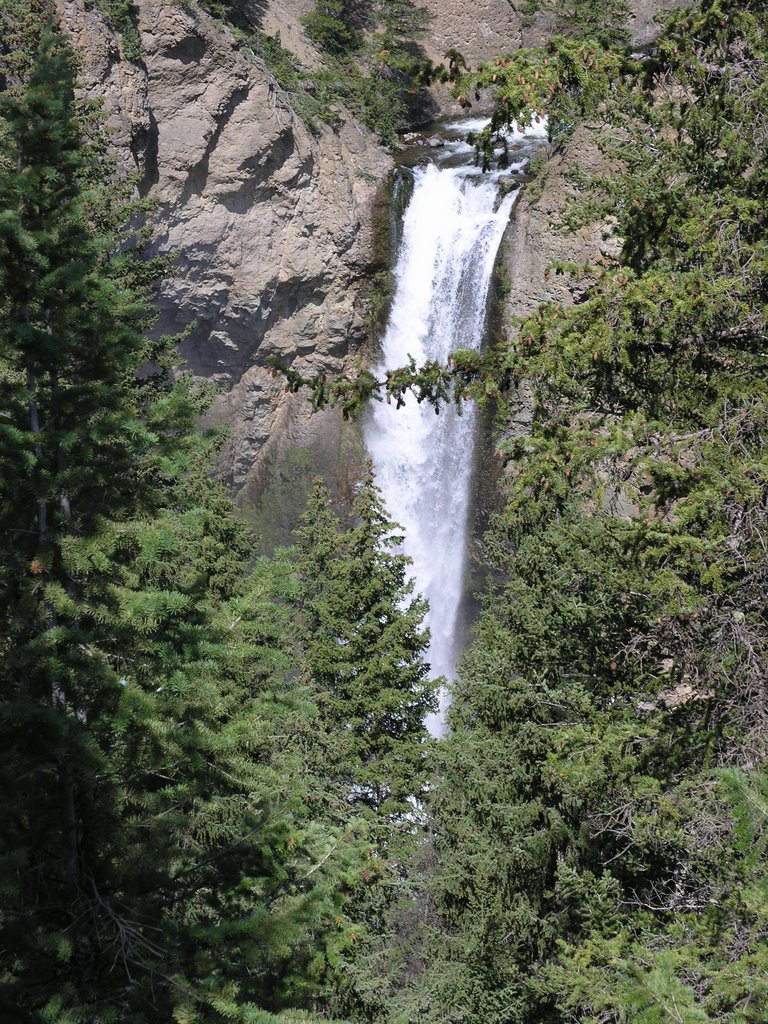 Yellowstone summer 2006.. by FishF1