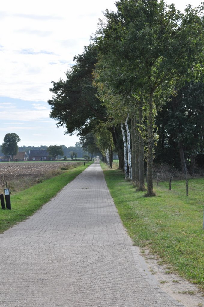 Grote Veldweg by M.F. Naaldenberg