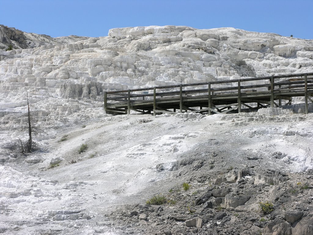 Yellowstone summer 2006.. by FishF1