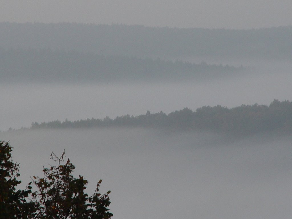 Blick zum Donautal by W.Gmeinwieser