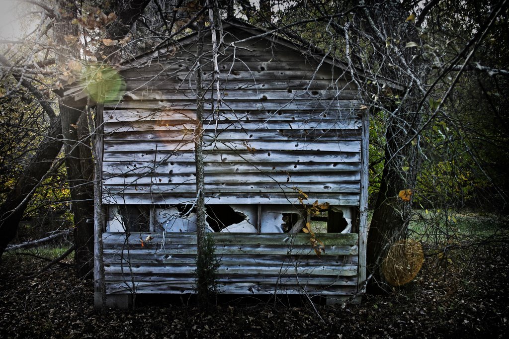 Sharecropper House by coleimage