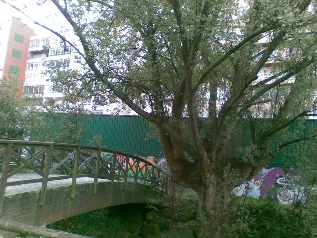 Ponte de madeira sobre o Lagares,balaídos.Vigo by rafaeliux