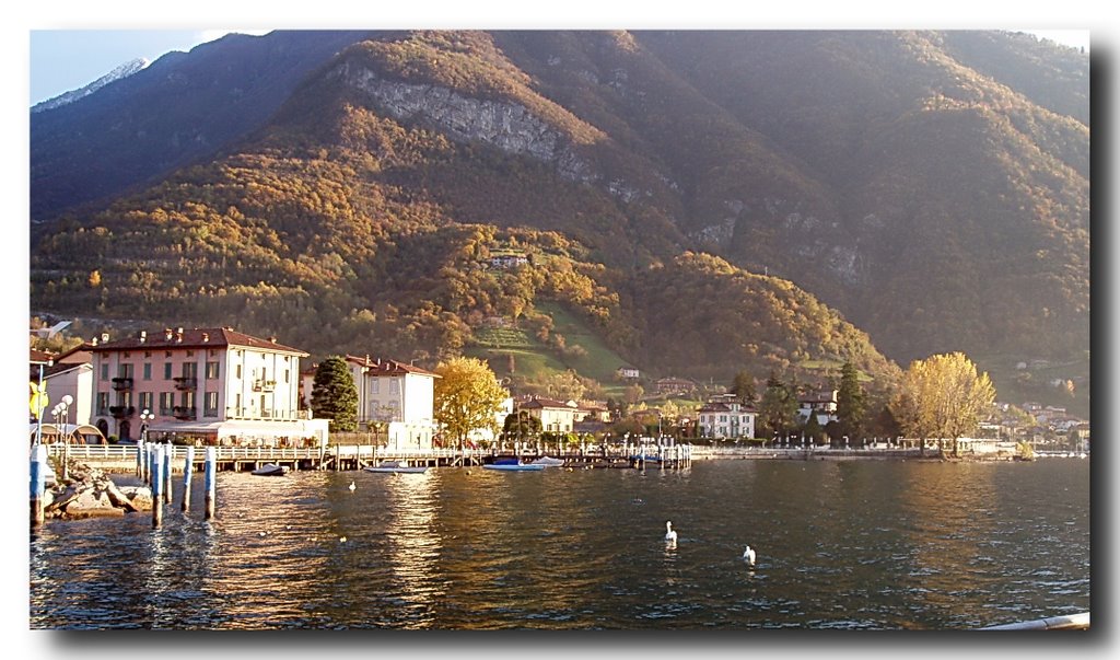 Colori autunnali sul lago by guido.biffi