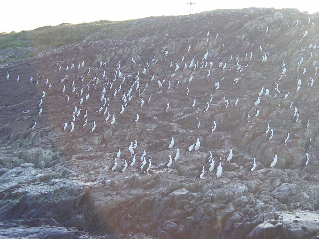 Isla de los Pajaros by mteixeira62