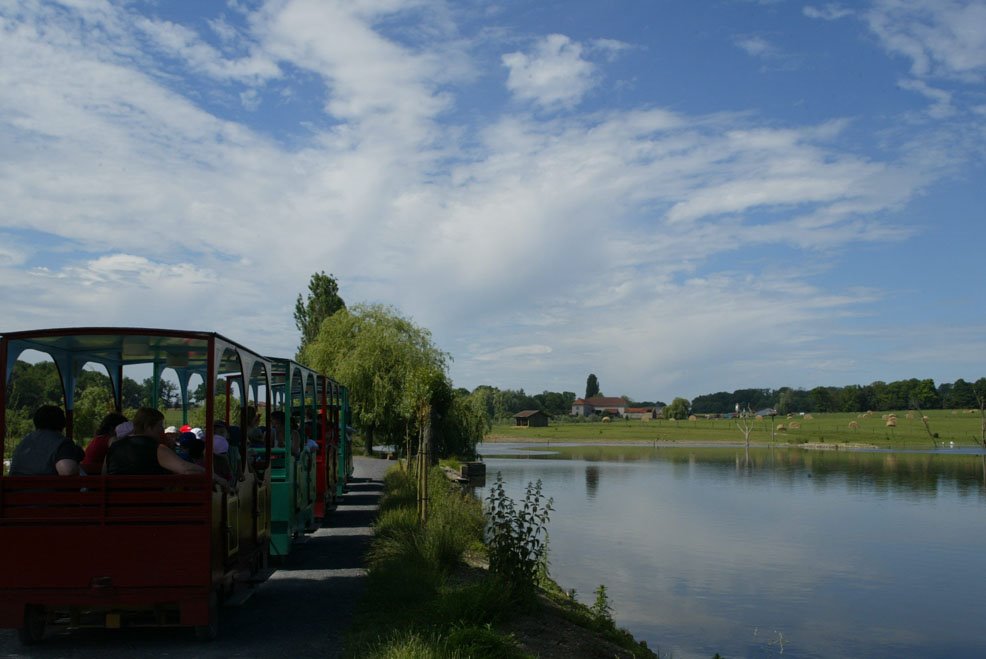 PARC ANIMALIER DE SAINTE-CROIX by Moselle Tourisme