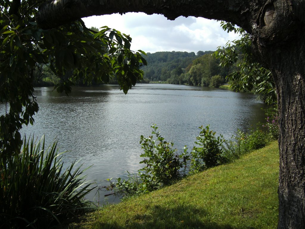 Die Mulde bei Schloss Rochlitz by panamorio77