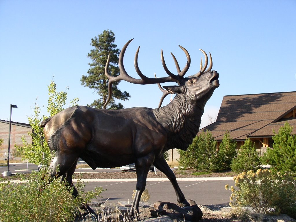 Rocky Mountain Elk Foundation, Missoula, Montanna by ponytailbob