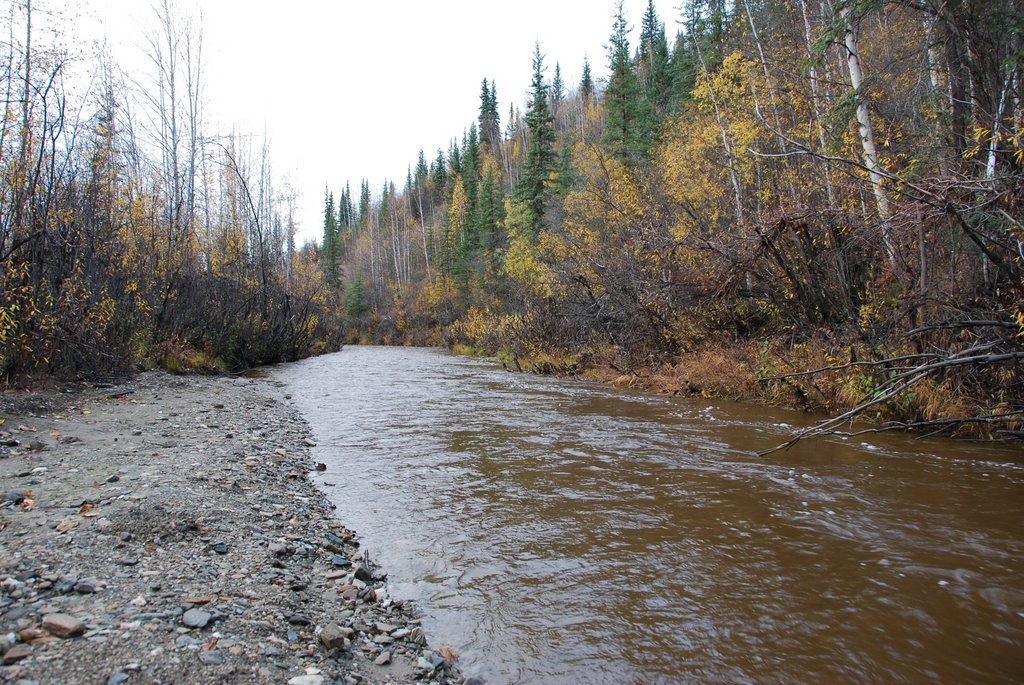 Bonanza Creek, 19-Sep-2009 by Val Kulkov